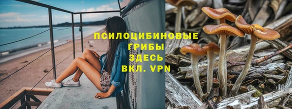 эйфоретик Дмитров