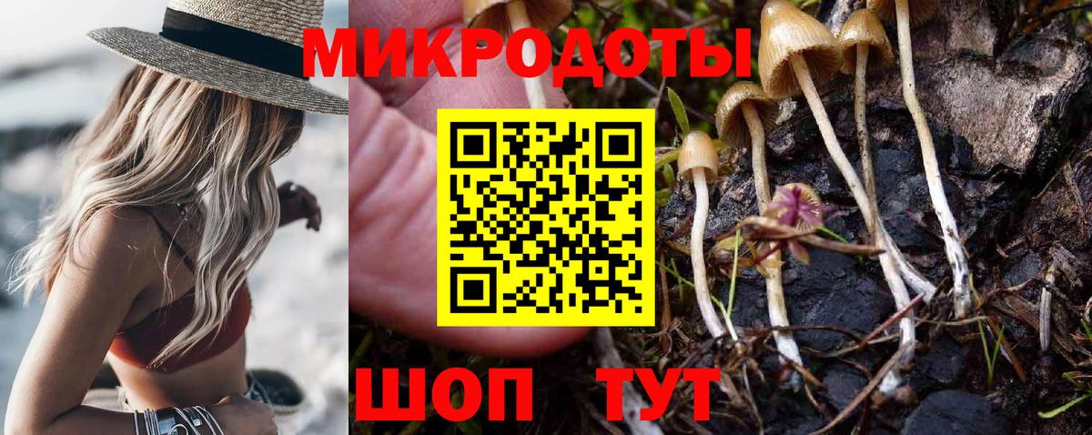 Псилоцибиновые грибы Psilocybe  Вход с VPN  Москва  продажа наркотиков  Галлюциногенные грибы GOLDEN TEACHER 